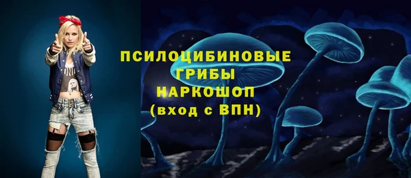 гашик Арсеньев