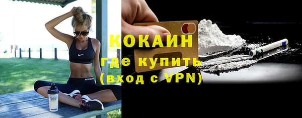 гашик Арсеньев