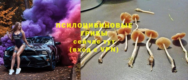 гашик Арсеньев