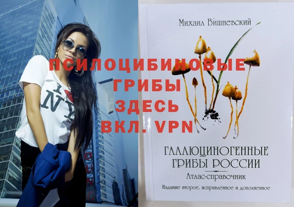 mdpv Армянск